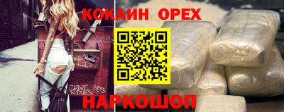 твердый Кингисепп