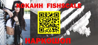 твердый Кингисепп