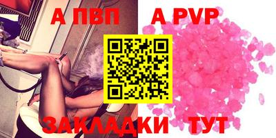 твердый Кингисепп