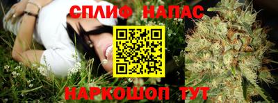 СК Кимры