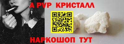 твердый Кингисепп