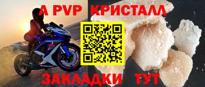 твердый Кингисепп