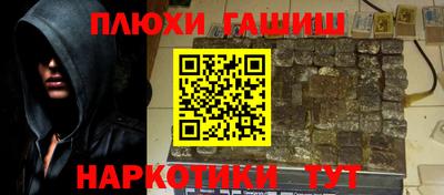 твердый Кингисепп