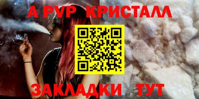 твердый Кингисепп