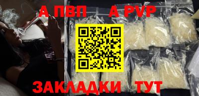 твердый Кингисепп