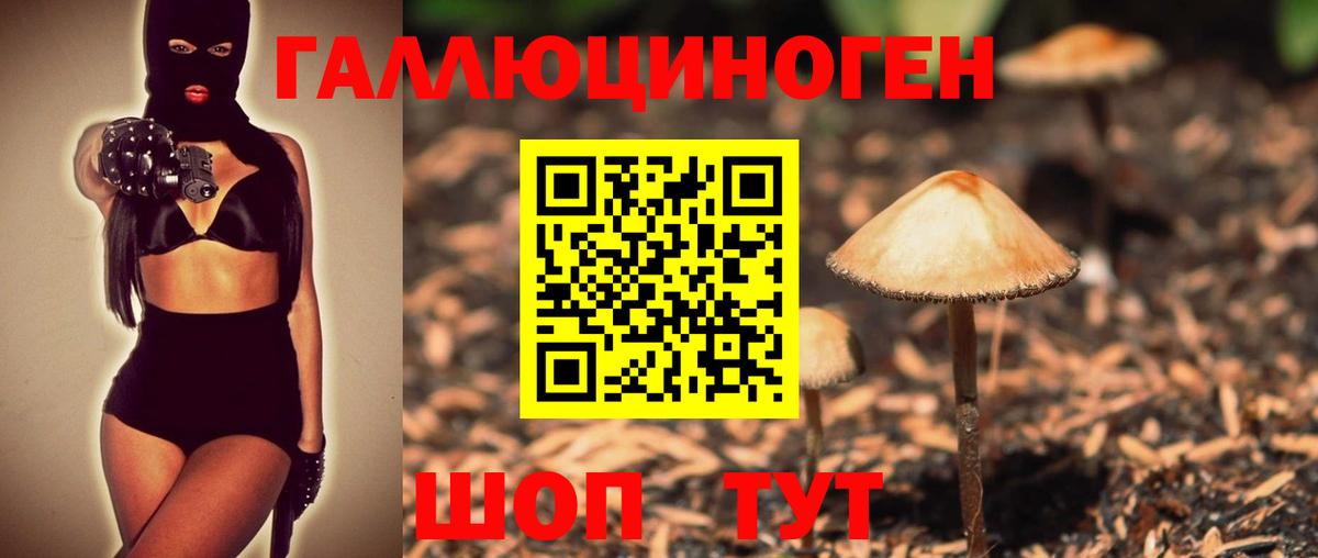 купить наркоту  Вход с VPN  Киров  Псилоцибиновые грибы мицелий 
